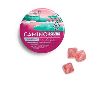 Kiva ~ Camino Sours Watermelon Spritz (Uplifting)-image
